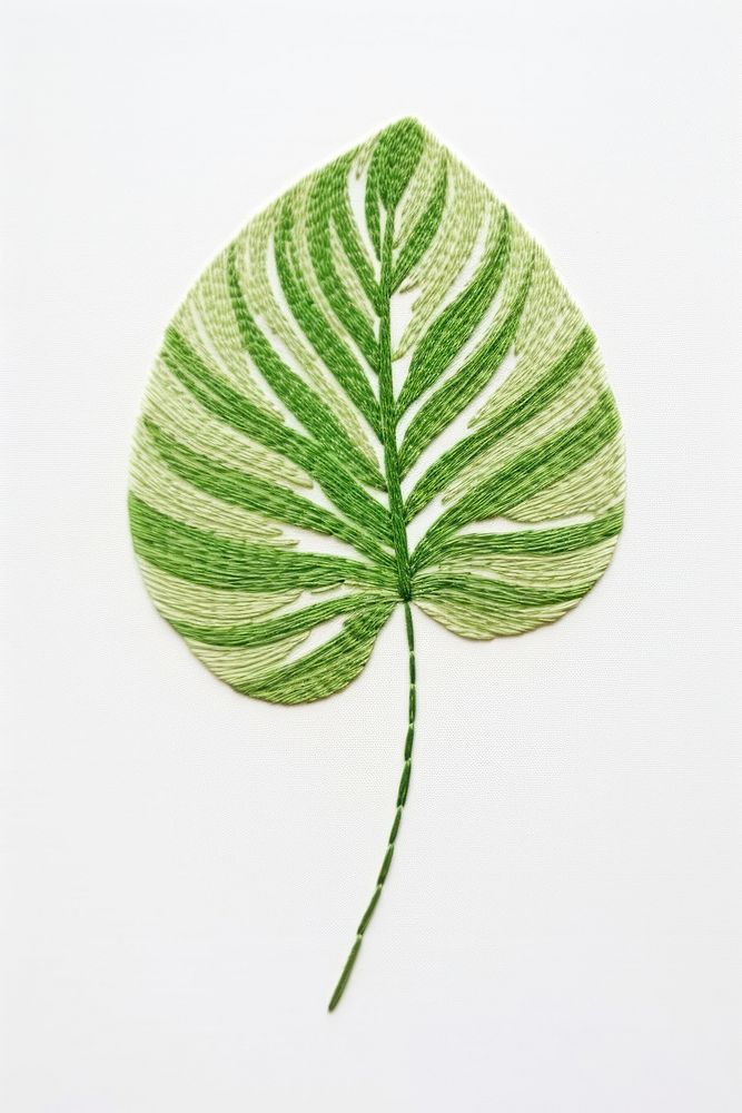 Botanical leave plant leaf pattern drawing.