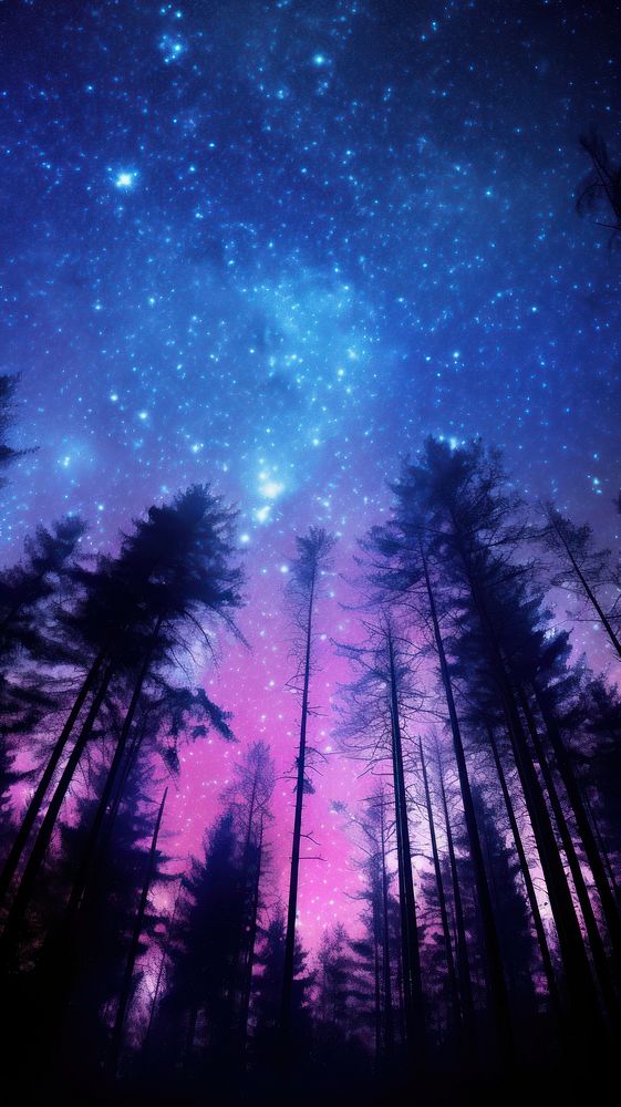  The milky stars above a pine forest sky landscape outdoors. AI generated Image by rawpixel.