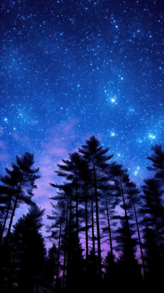  The milky stars above a pine forest sky landscape outdoors. AI generated Image by rawpixel.