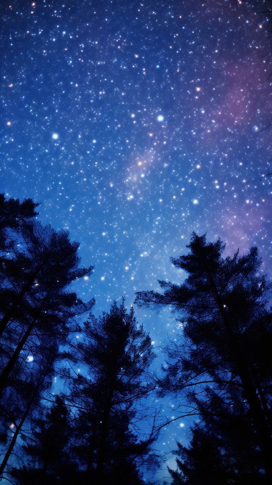  The milky stars above a pine forest sky landscape astronomy. AI generated Image by rawpixel.