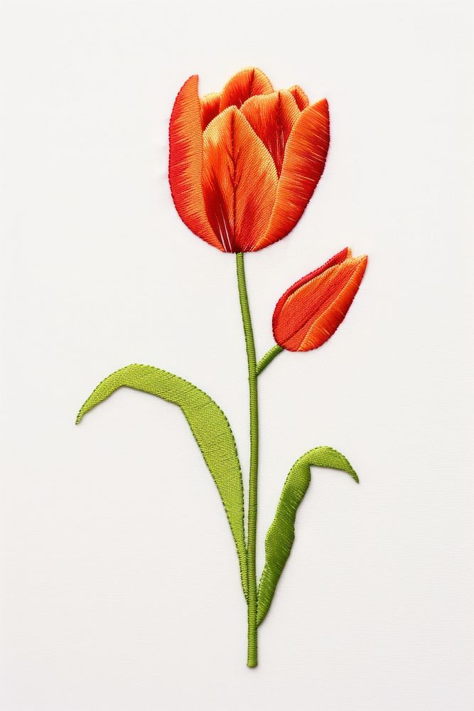 Flower petal plant tulip flower inflorescence creativity.