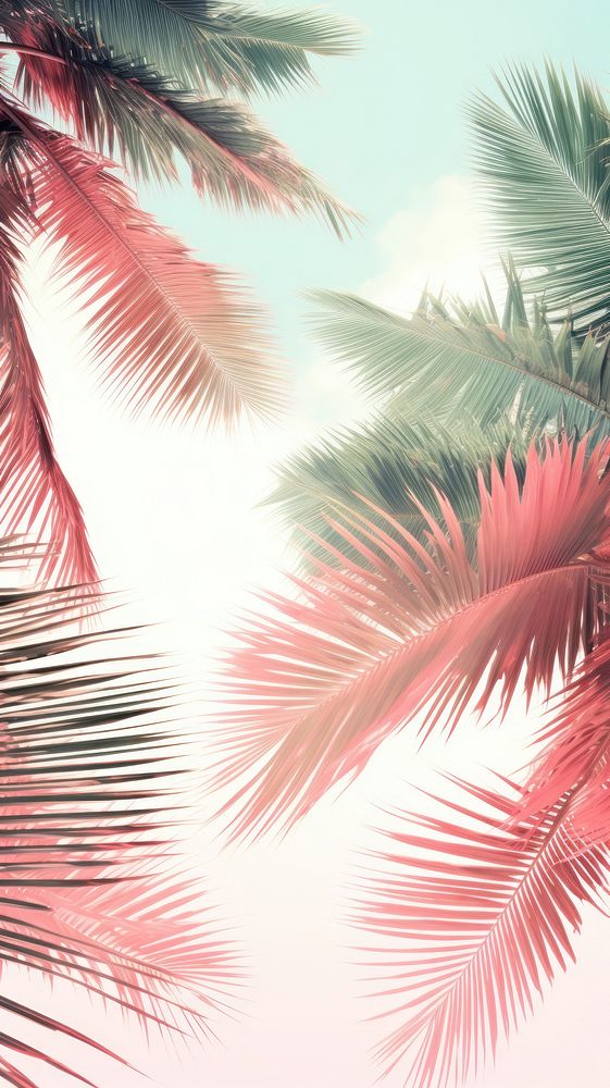  Tropical summer outdoors nature plant. AI generated Image by rawpixel.