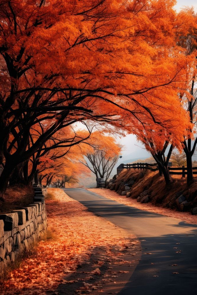 Maple tree autumn road landscape. AI generated Image by rawpixel.