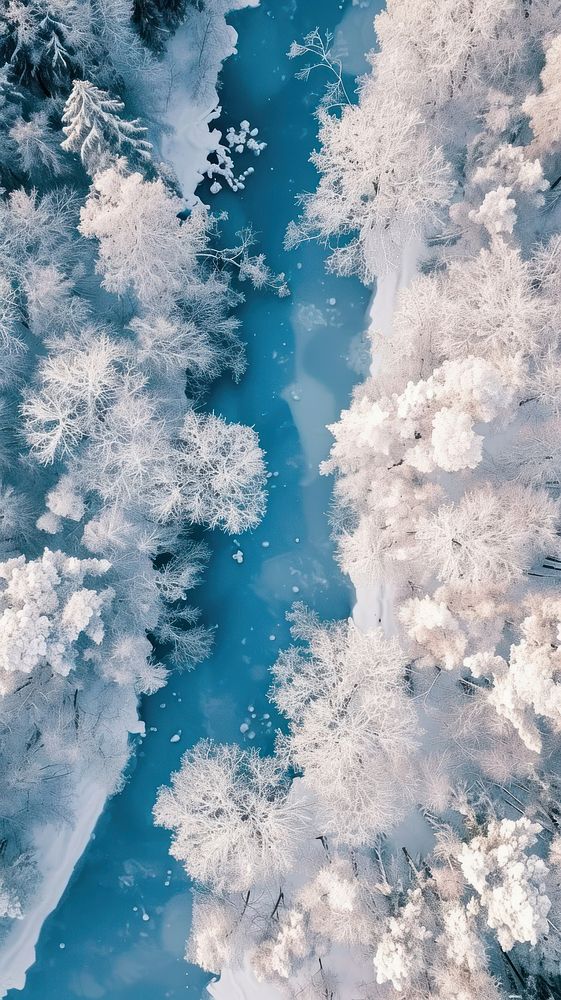 Aerial top down view of Winter landscape outdoors nature.