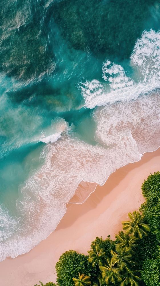 Aerial top down view of Beach landscape outdoors nature.