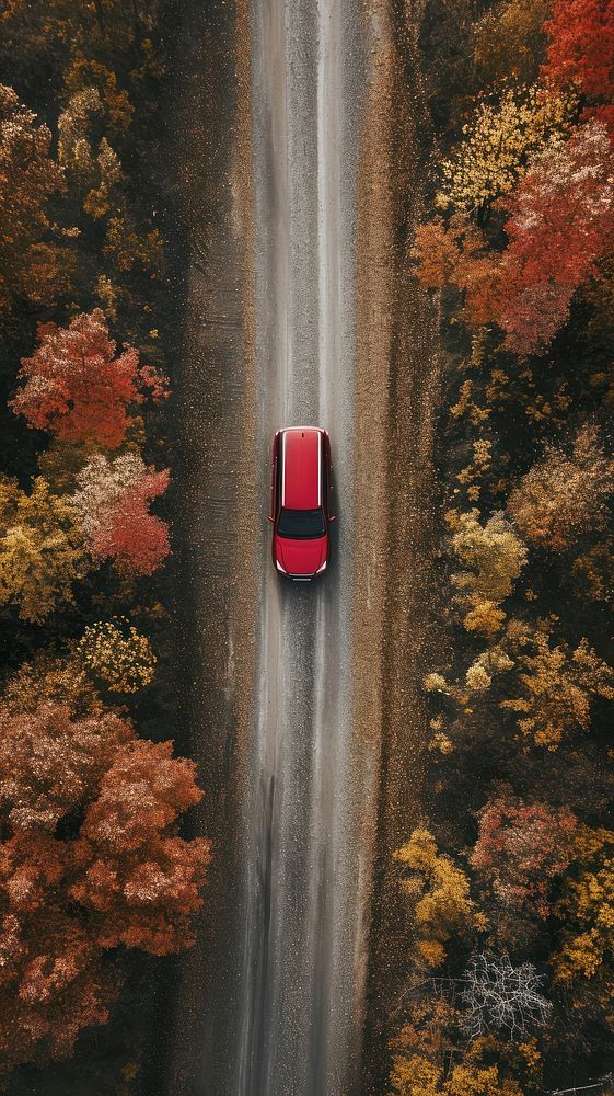 Aerial top down view of Car driving in country road car landscape vehicle.
