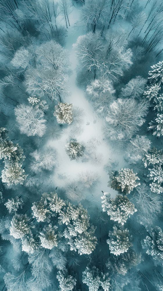 Aerial top down view of Snow Field snow outdoors nature.