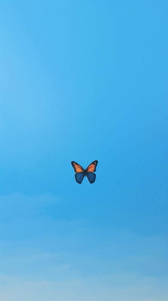 Minimal space a butterfly flying outdoors animal.