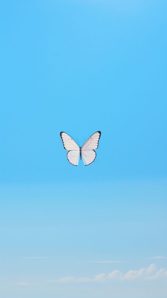 Minimal space a butterfly flying sky outdoors.