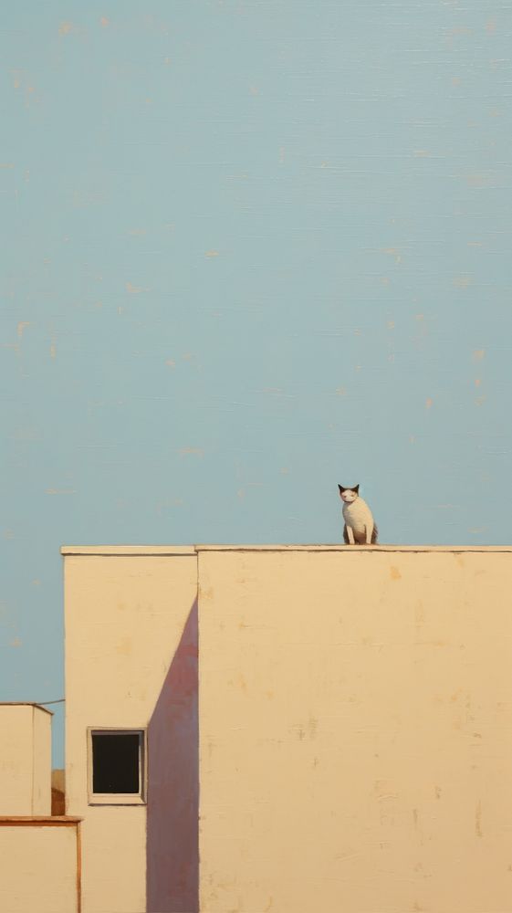 Minimal space a cat architecture outdoors animal.