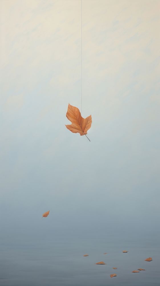 Minimal space a leaf tranquility reflection parachute.