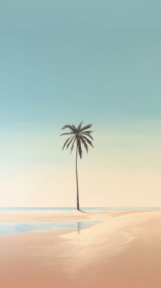 Minimal space a palm tree beach outdoors horizon.