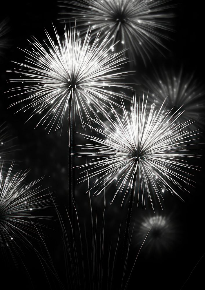 Aesthetic Photography of fireworks outdoors nature night.
