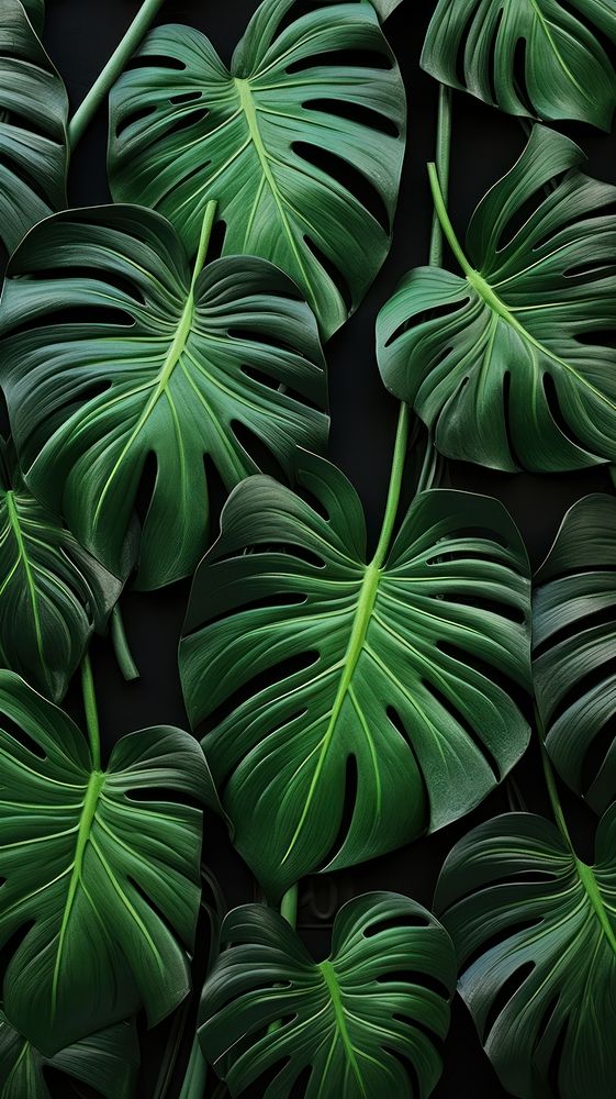 Monstera bas relief small pattern green plant black.