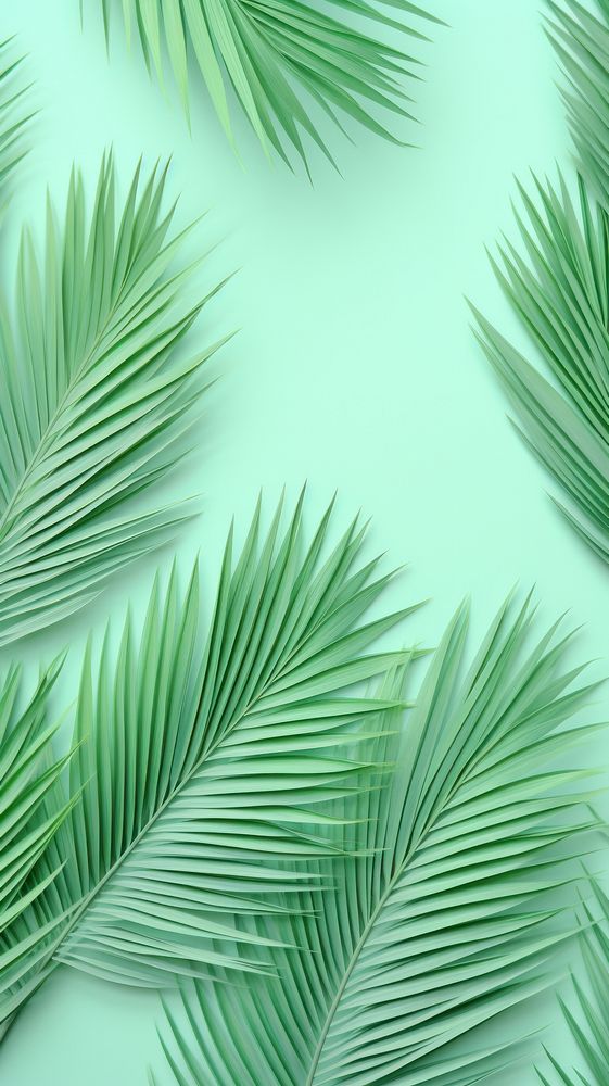 Palm leaves relief small pattern plant green leaf.