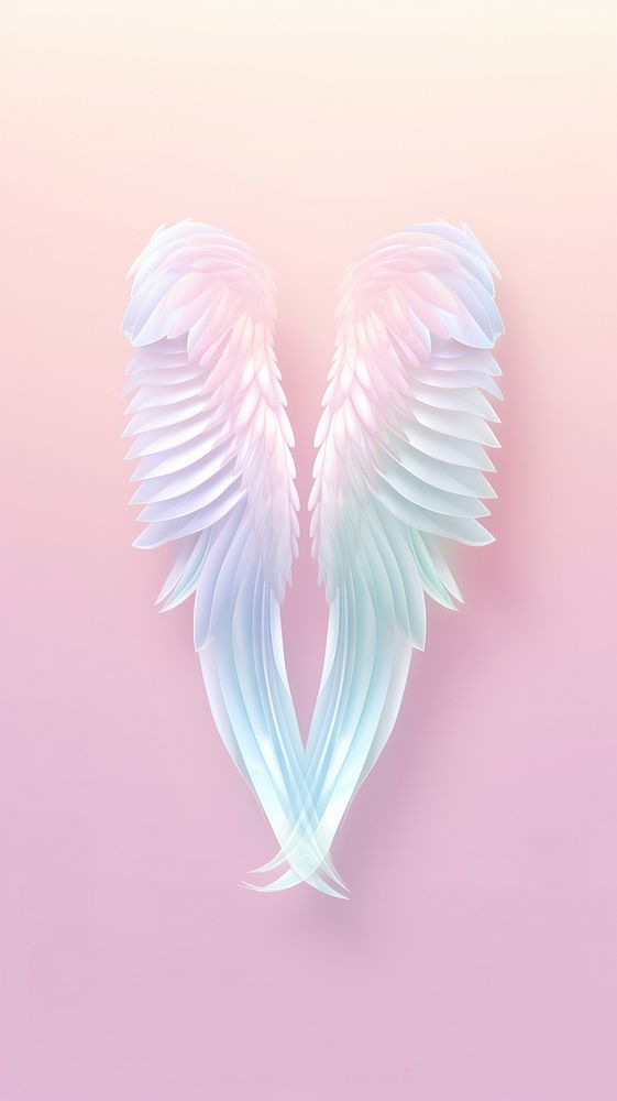 Angel wing bird art creativity.