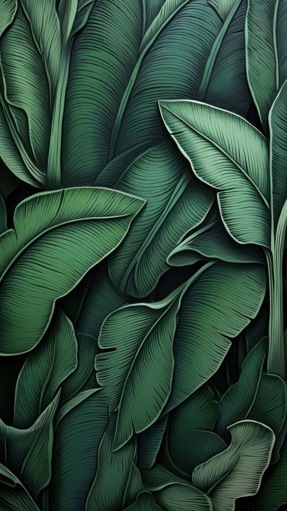 Banana leaf bas relief pattern nature plant green.