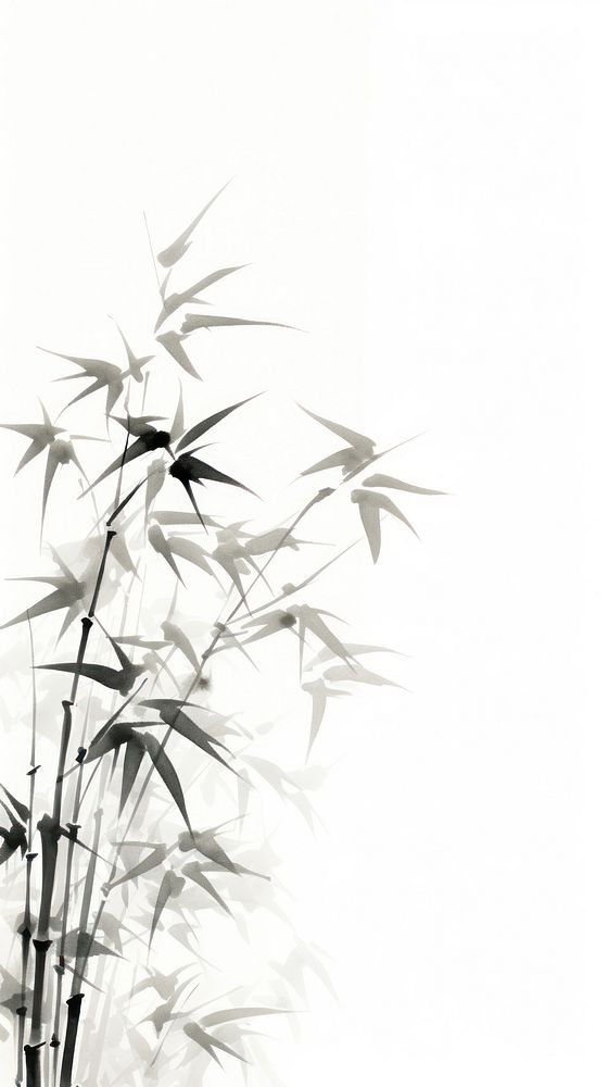 Bamboo chinese brush backgrounds plant white.