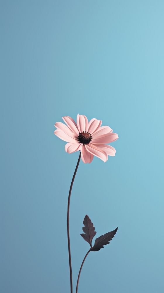  Flower outdoors nature petal. AI generated Image by rawpixel.