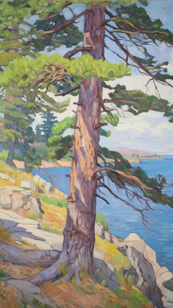 Painting tree pine vegetation.
