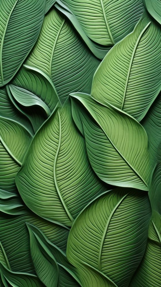 Leaf green backgrounds pattern.