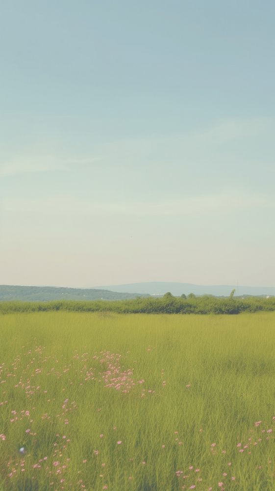 Aesthetic field landscape wallpaper grassland outdoors horizon.
