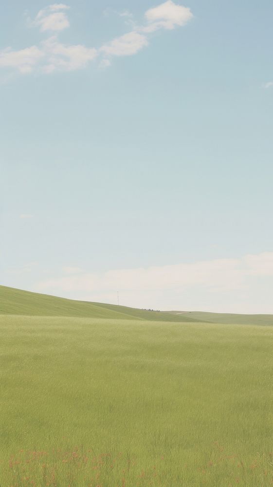 Aesthetic field landscape wallpaper grassland outdoors horizon.