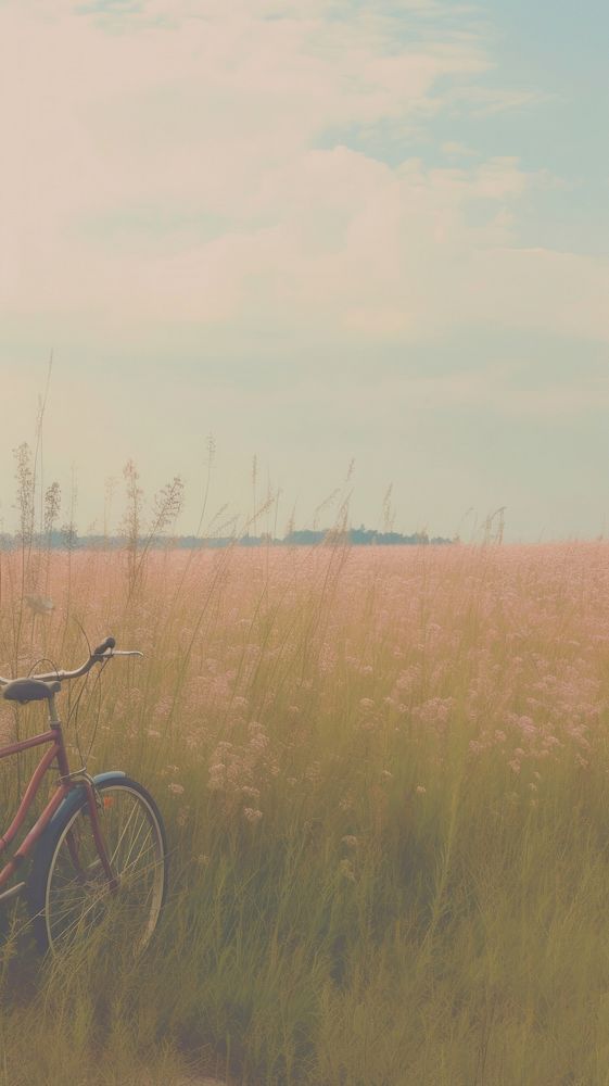 Aesthetic field with bicycle landscape wallpaper grassland outdoors horizon.