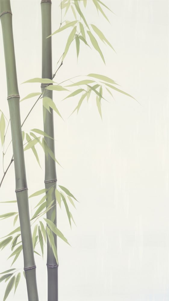 Esthetic bamboo landscape wallpaper plant backgrounds pattern.