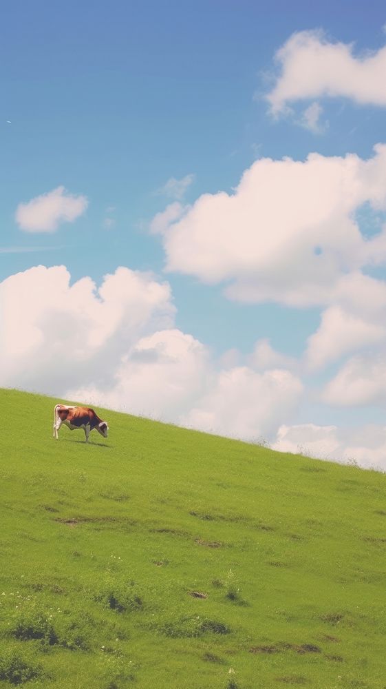 Esthetic cow landscape wallpaper field grassland livestock.
