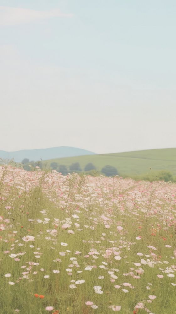 Esthetic floral field landscape wallpaper grassland outdoors pasture.