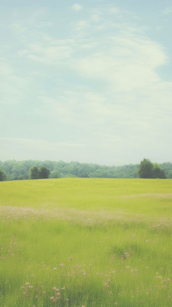 Esthetic meadow landscape wallpaper grassland outdoors pasture.