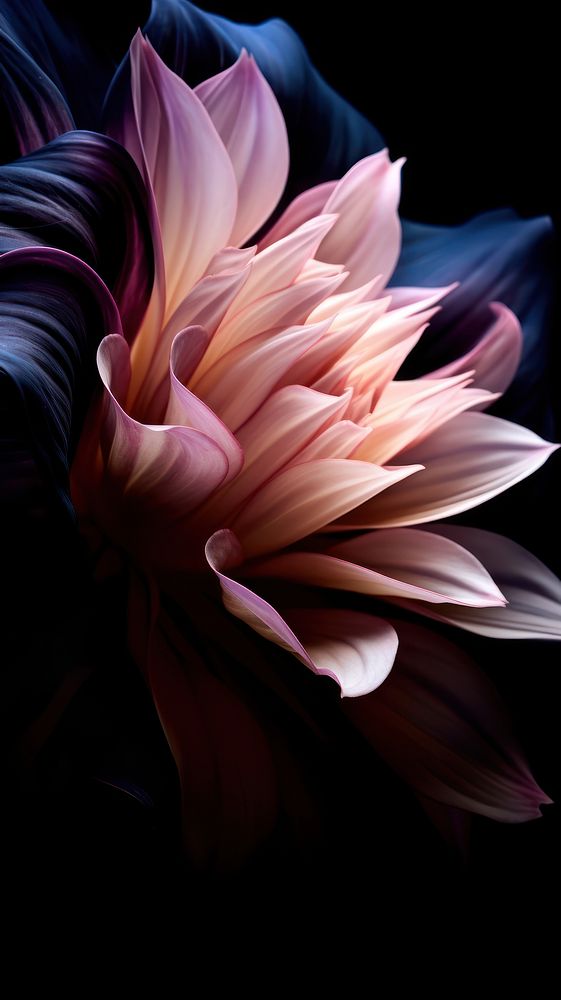  Flower petal plant inflorescence. AI generated Image by rawpixel.