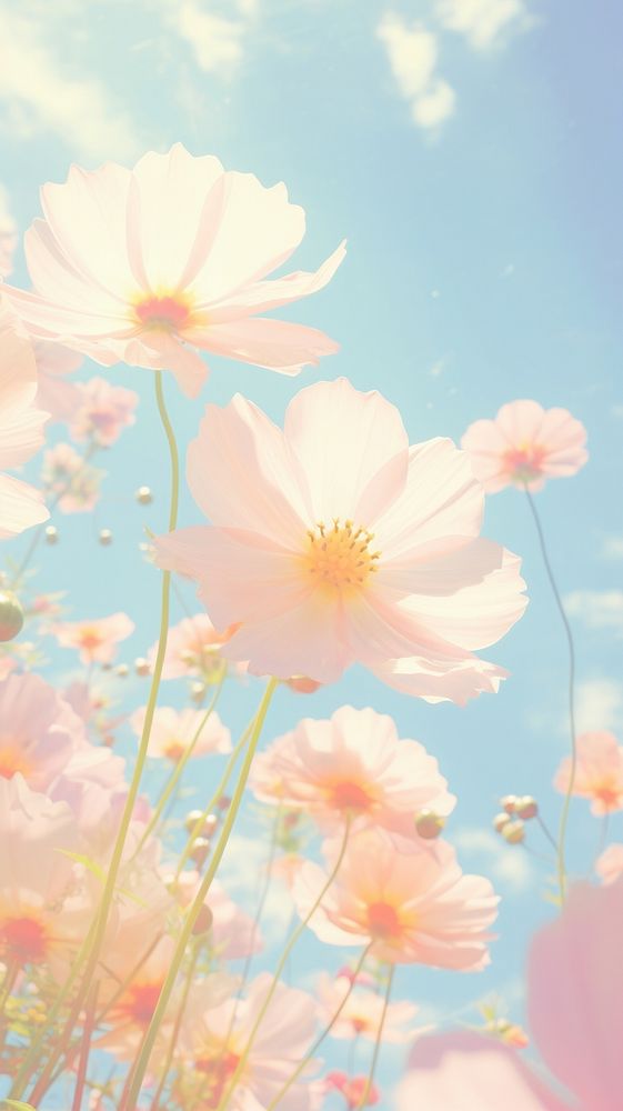  Flower outdoors blossom nature. AI generated Image by rawpixel.