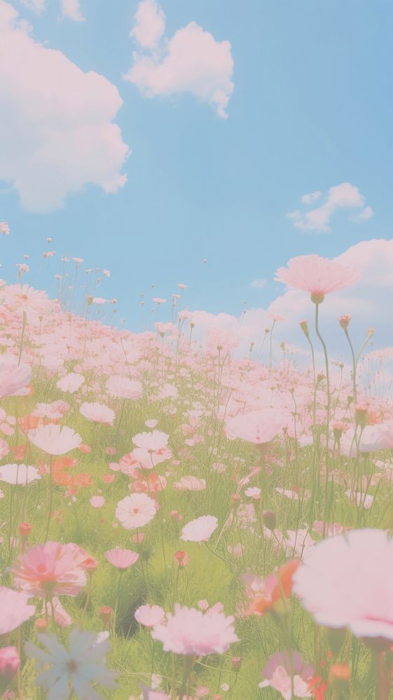  Mini flower field grassland outdoors blossom. AI generated Image by rawpixel.