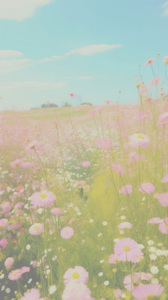  Mini flower field grassland landscape outdoors. AI generated Image by rawpixel.
