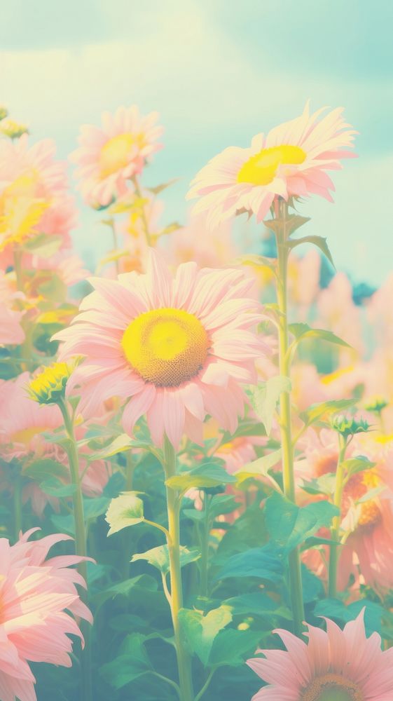  Sunflower landscape outdoors nature. AI generated Image by rawpixel.