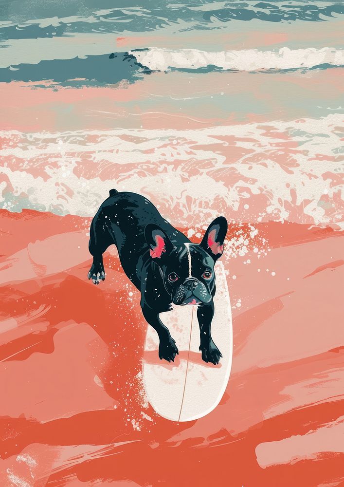 French bulldog surfing on beach animal mammal pet.