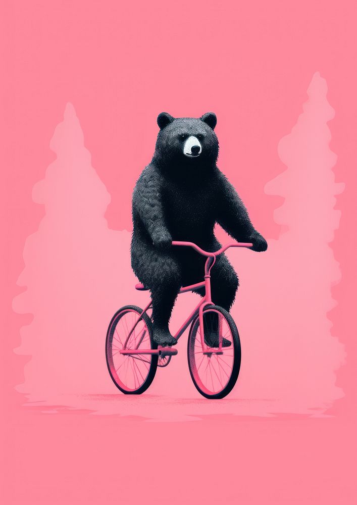 Bear riding bicycle vehicle cycling sports.