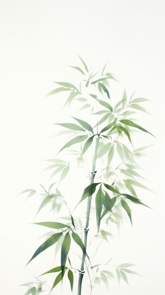 Leaf backgrounds bamboo plant.