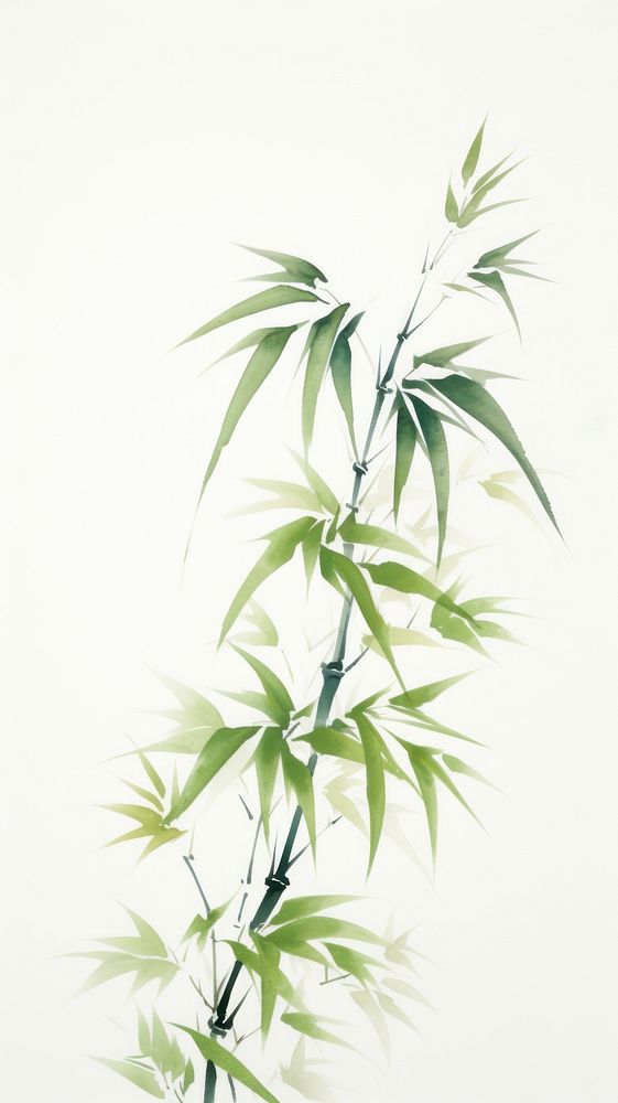 Leaf bamboo plant creativity.