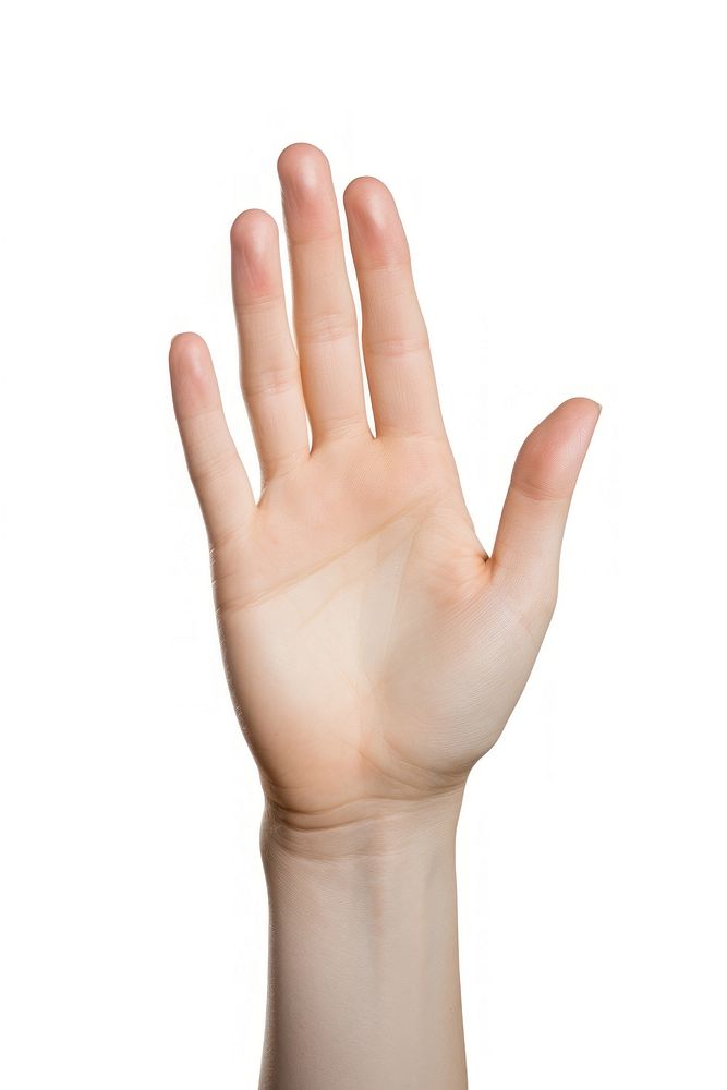 A female hand palm finger white background gesturing.