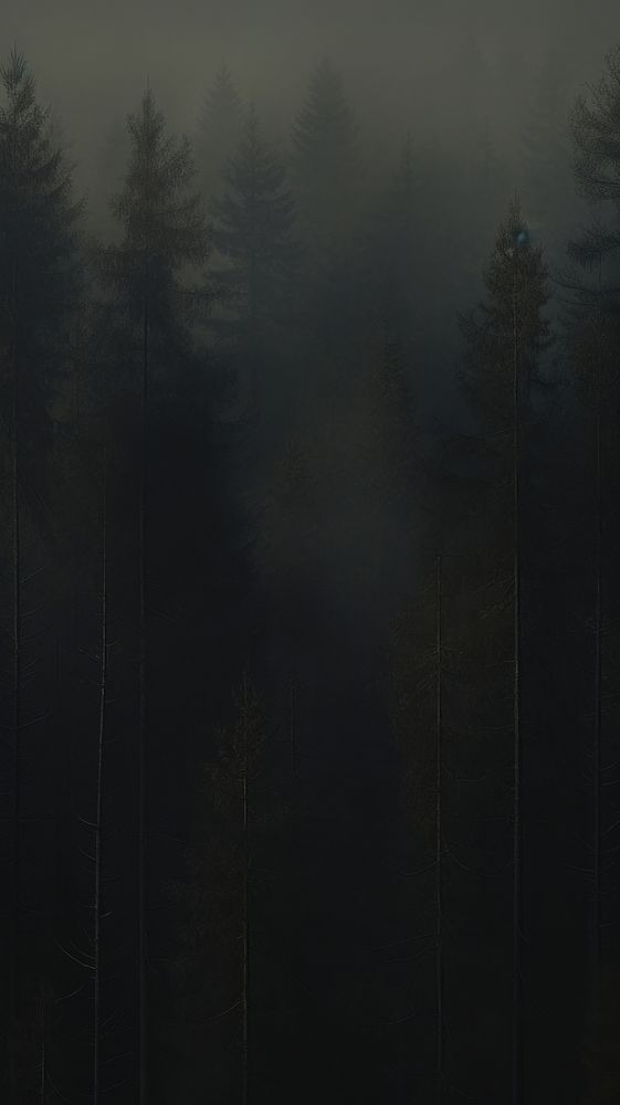 Dark pine forest outdoors woodland nature. AI generated Image by rawpixel.