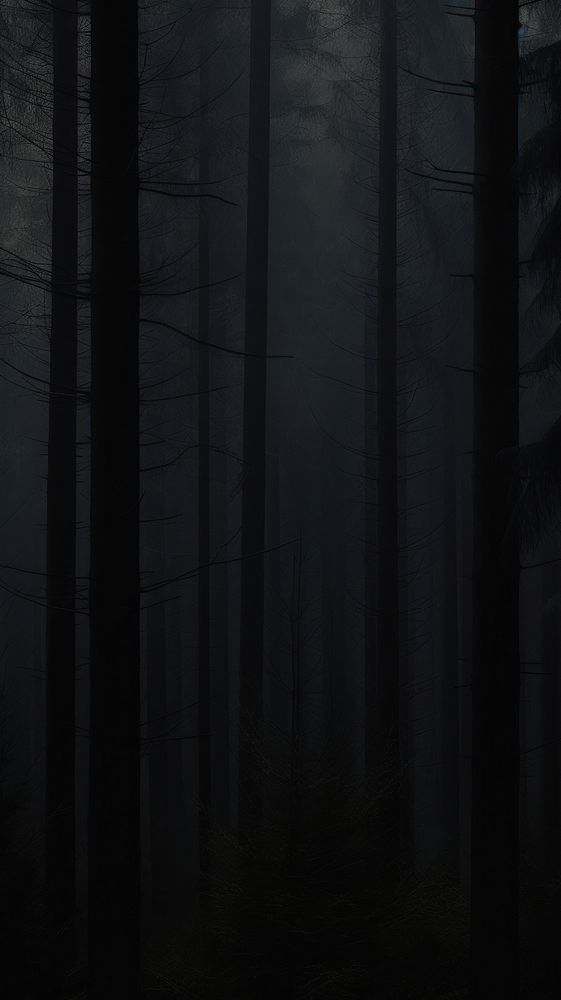  Dark pine forest outdoors nature black. AI generated Image by rawpixel.