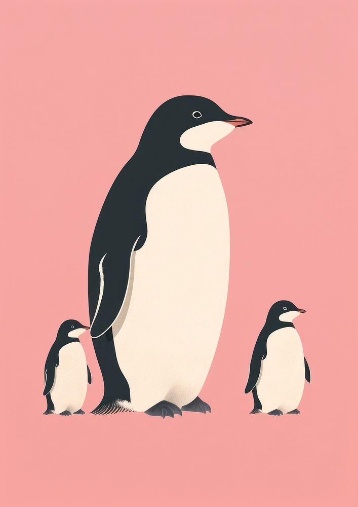Penguin animal bird togetherness.