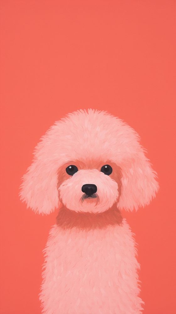Poodle cute toy representation.