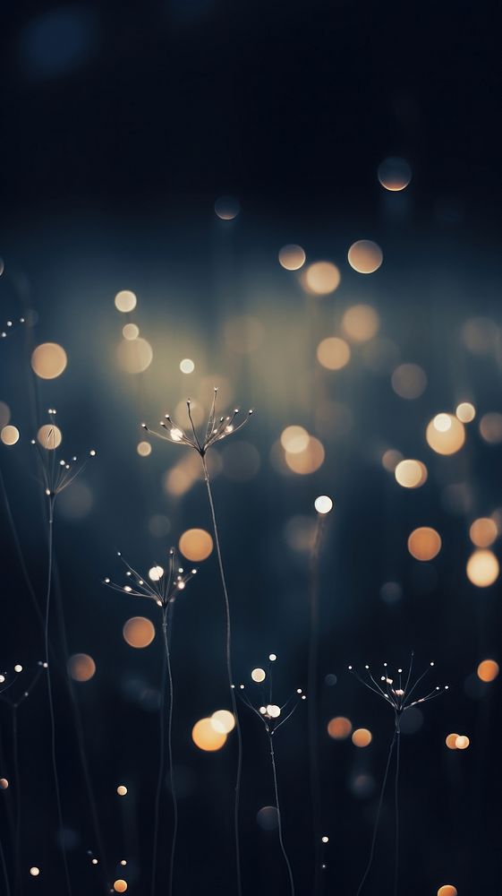  Bokeh lighting outdoors nature. AI generated Image by rawpixel.