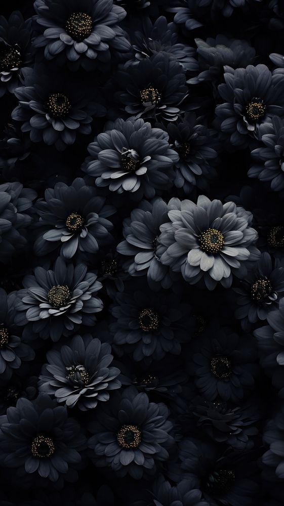 Flower garden black backgrounds monochrome. AI generated Image by rawpixel.