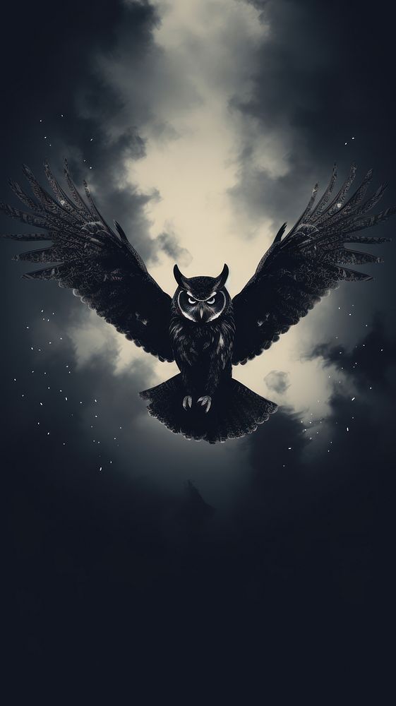  Owl flying in the sky animal black bird. AI generated Image by rawpixel.
