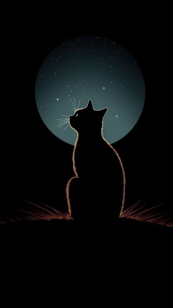  Cat silhouette astronomy animal. 